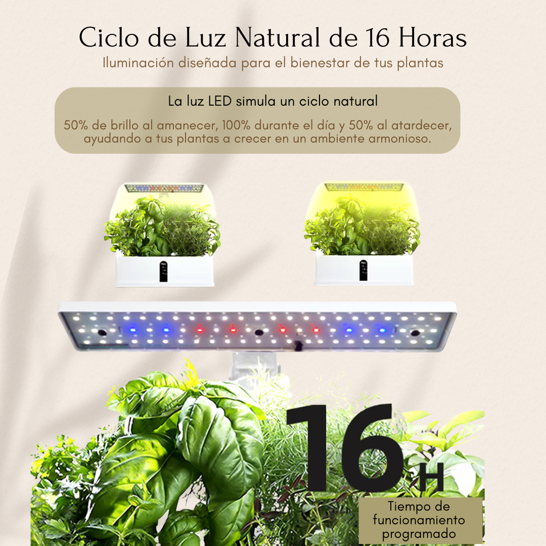 Cultivo Hidropónico