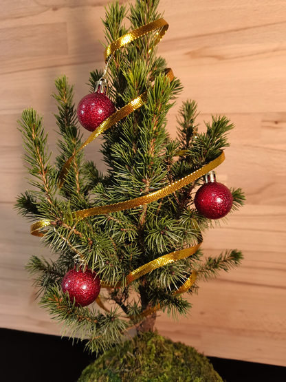 Árbol de Navidad Kokedama