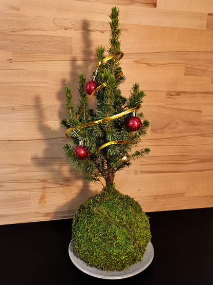 Árbol de Navidad Kokedama